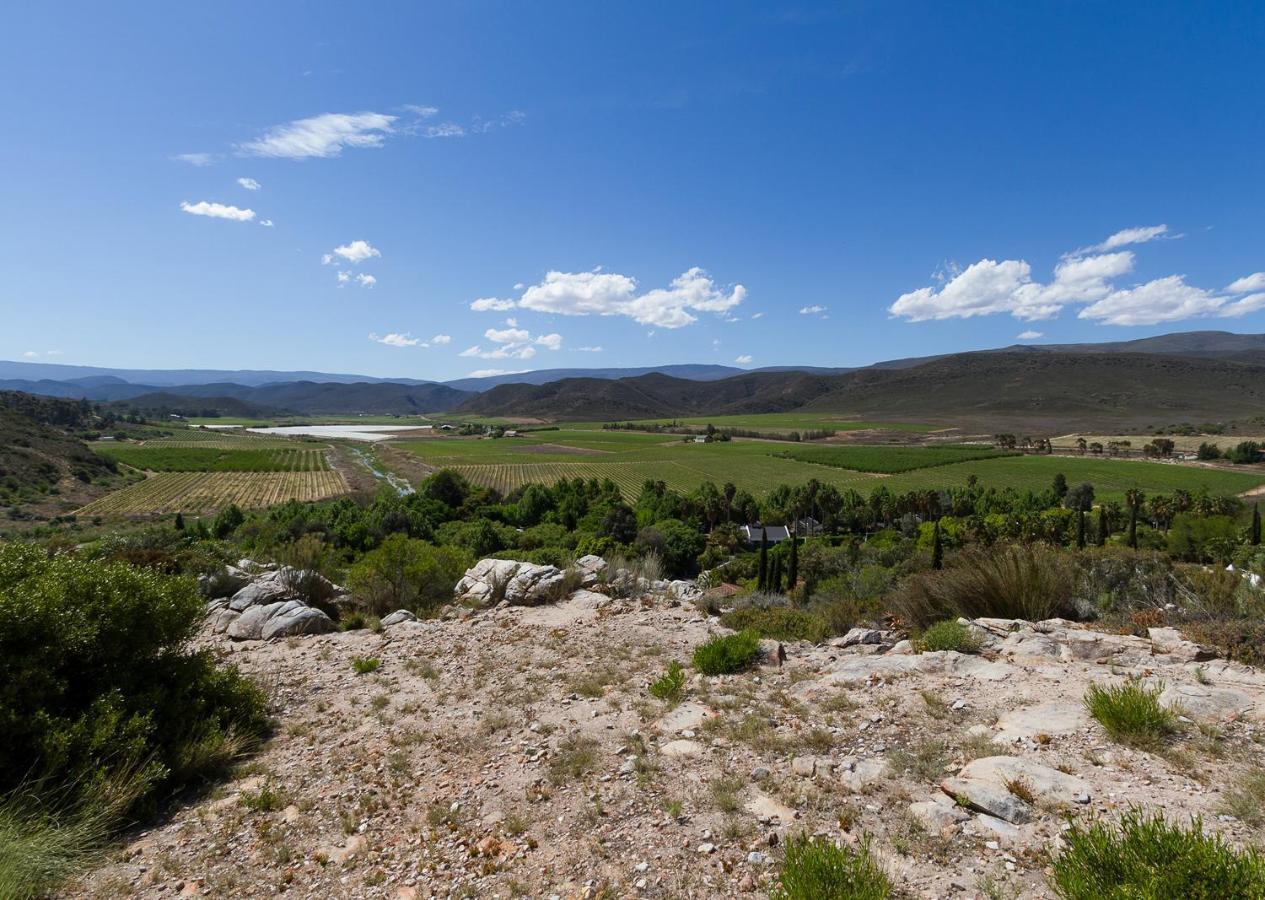 Avalon Springs By Dream Montagu